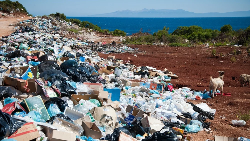 Traditional Packaging Methods and Waste Issues